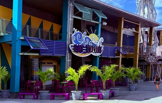 Traitors: New Blood Bar Takes Over CityWalk With Cumming's Own Costume