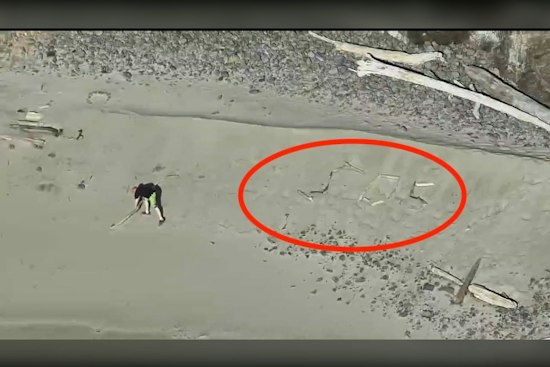 Trapped Oregon Tourists Spell SOS in Driftwood as Tide Traps Them for Hours
