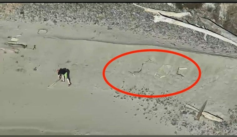 Trapped Oregon Tourists Spell SOS in Driftwood as Tide Traps Them for Hours