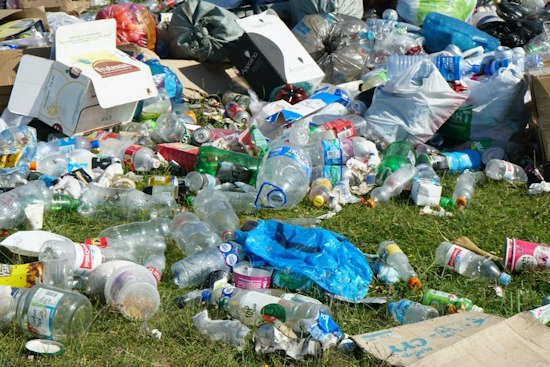 Trash Keeps Piling Up At Historic Leesburg Cemetery, Community Pushes Back