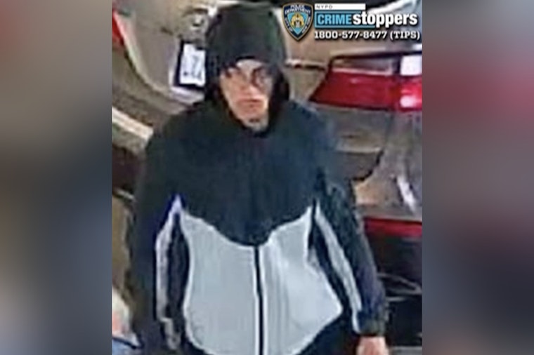 Tremont Car Thief Forces Way Into Honda Pilot, Dumps It in Riverdale
