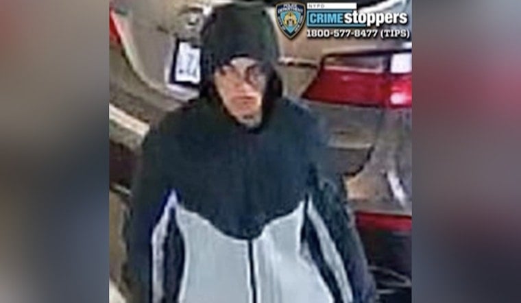 Tremont Car Thief Forces Way Into Honda Pilot, Dumps It in Riverdale
