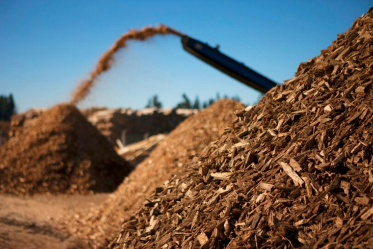 Truckee's Cabin Creek Biomass Plant Wins Approval After 18-Year Fight