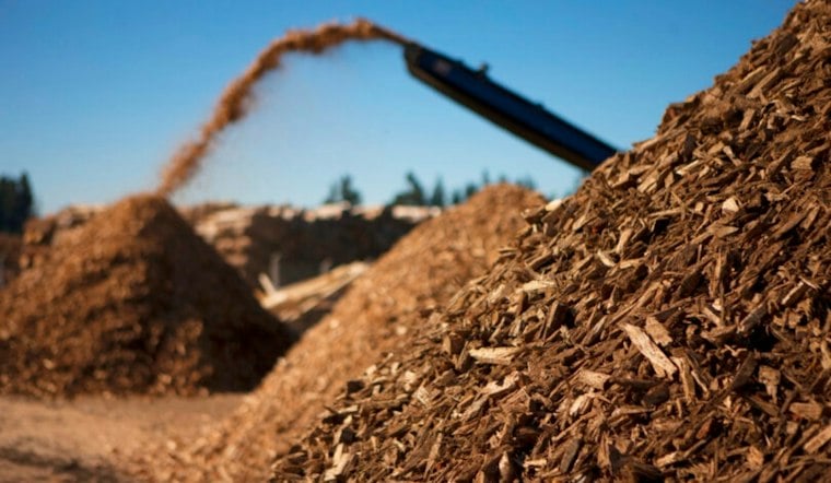 Truckee's Cabin Creek Biomass Plant Wins Approval After 18-Year Fight