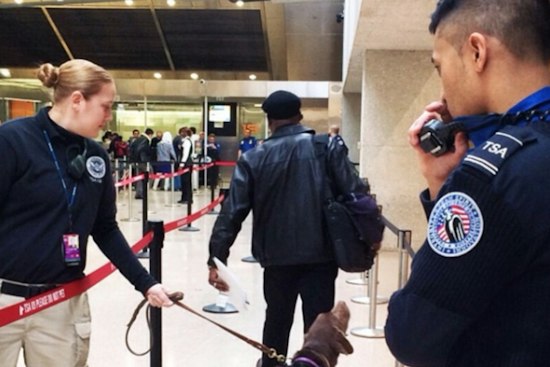 TSA Yanks Chairs From Airport ID Checkpoints, Union Vows to Fight Back