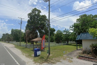 Two Horses Sink Neck-Deep in Mud During Flagler County Search Training