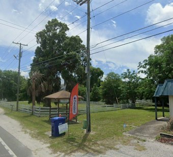 Two Horses Sink Neck-Deep in Mud During Flagler County Search Training