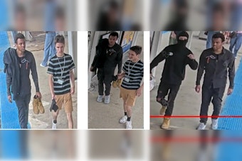 Two Men Rob Teen on CTA Blue Line at UIC-Halsted, Police Hunt Suspects
