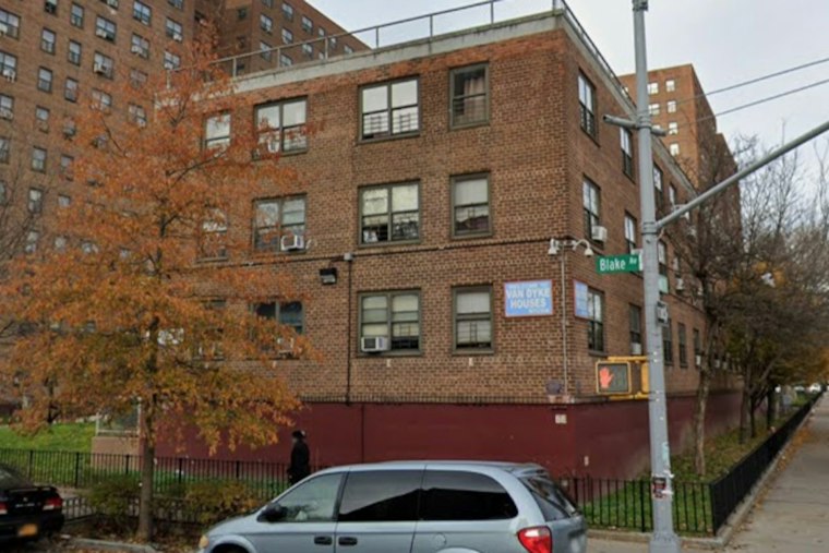 Two Men Shot Near Brownsville's Van Dyke Houses; Six or Seven Men Seen Running