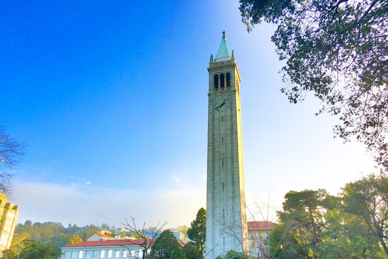 UC Berkeley's Fat-Burning Pill Beat Ozempic Rebound in Mice, Study Finds
