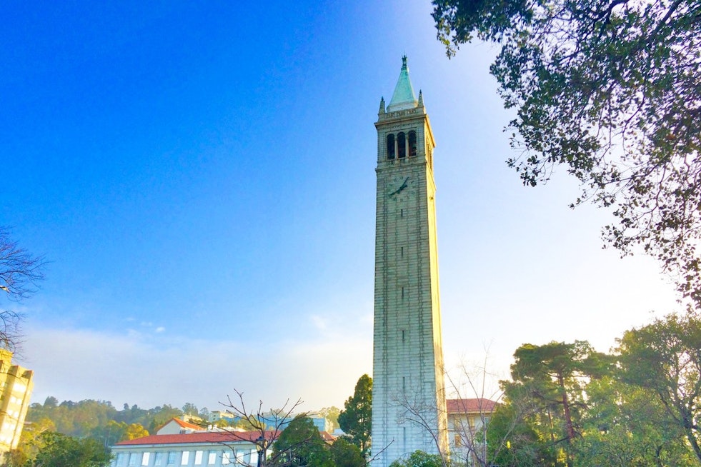 UC Berkeley's Fat-Burning Pill Beat Ozempic Rebound in Mice, Study Finds