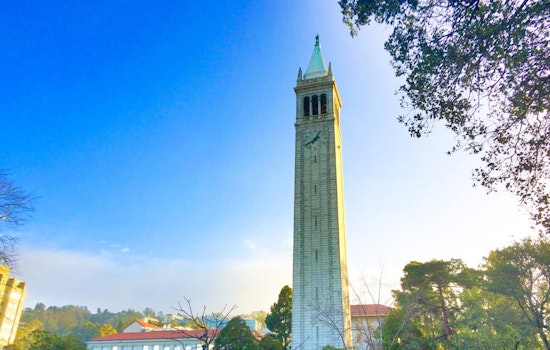 UC Berkeley's Fat-Burning Pill Beat Ozempic Rebound in Mice, Study Finds