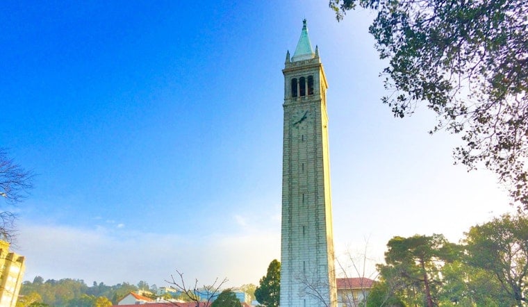 UC Berkeley's Fat-Burning Pill Beat Ozempic Rebound in Mice, Study Finds