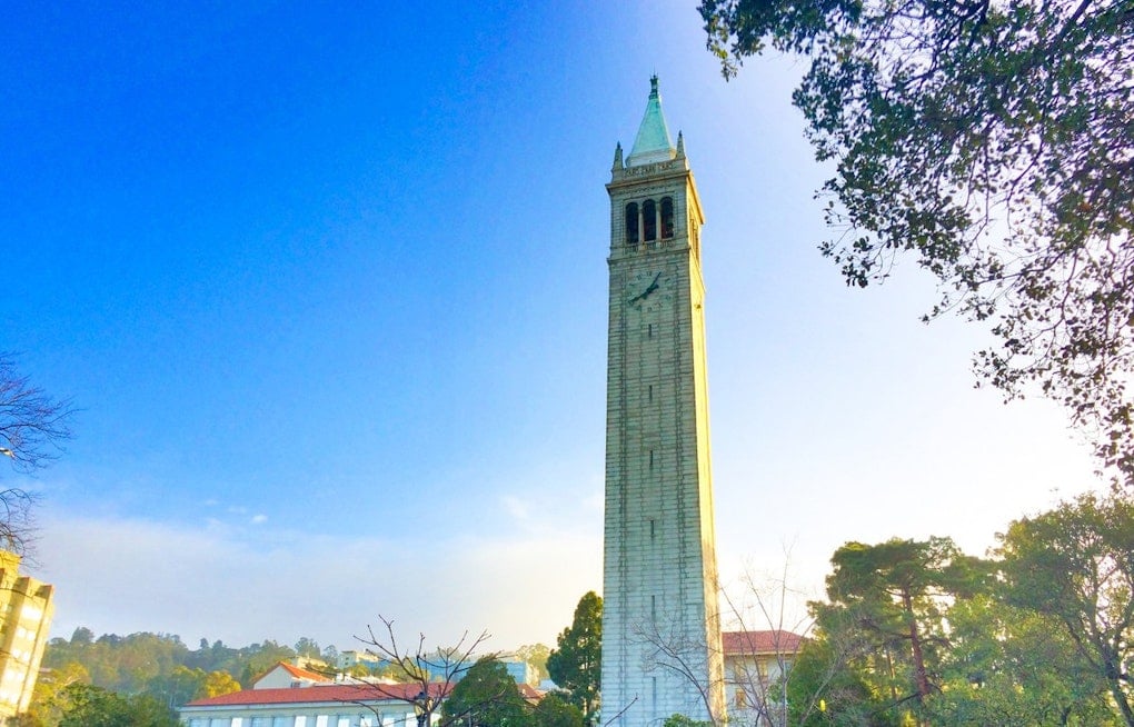 UC Berkeley's Fat-Burning Pill Beat Ozempic Rebound in Mice, Study Finds