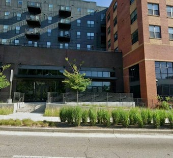 UGA Student Falls Eight Stories From Athens Apartment Window, Lands on Pool Deck