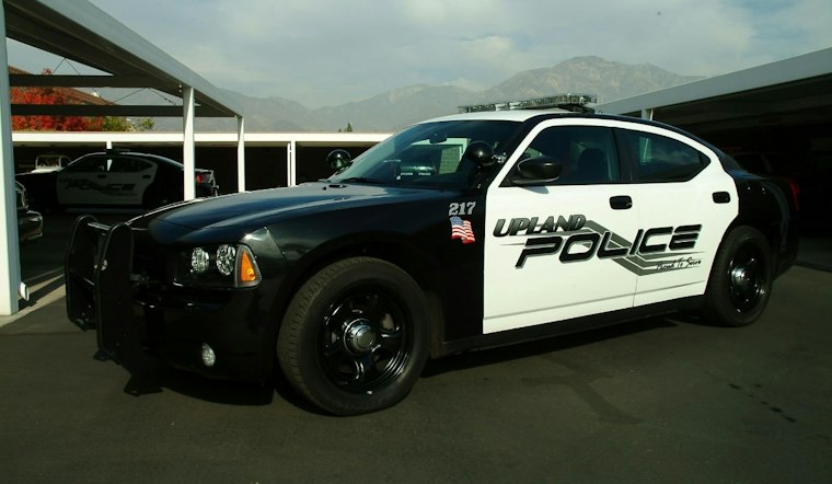 Upland Rescue Raid Nets Hundreds of Cats in Animal Abuse Probe