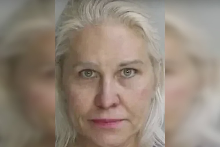 Upper Gwynedd Cat Torture Case Widens as Second Suspect Skips Court