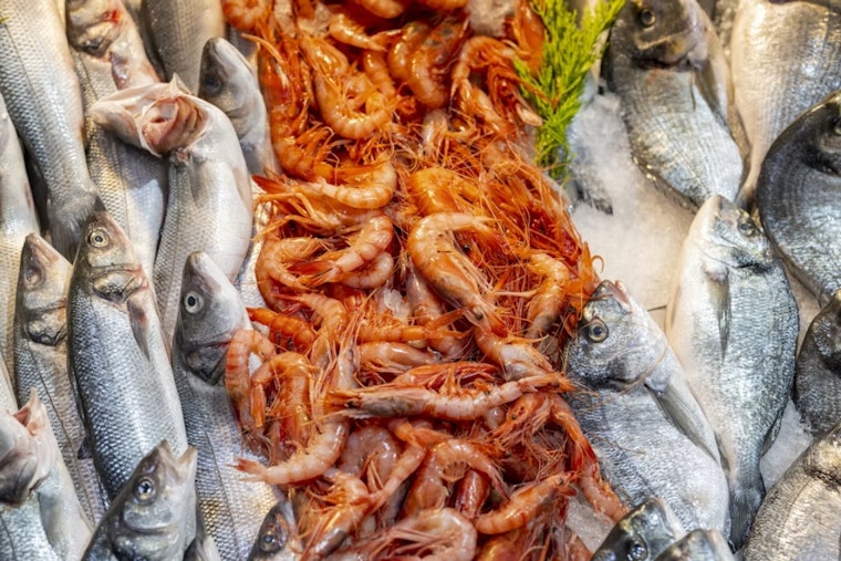Urbana's Fish & Shrimp Festival Returns With Sturgeon Petting Zoo, 12 Bands