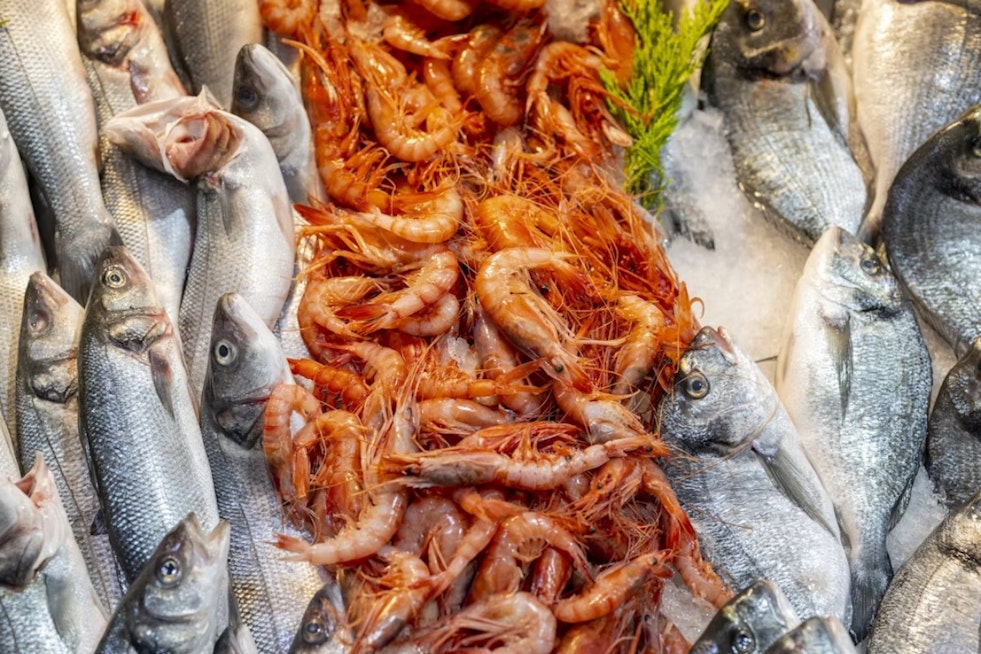 Urbana's Fish & Shrimp Festival Returns With Sturgeon Petting Zoo, 12 Bands