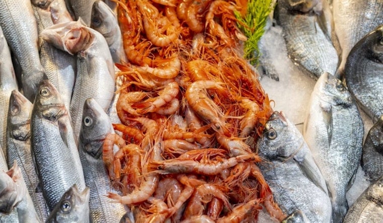 Urbana's Fish & Shrimp Festival Returns With Sturgeon Petting Zoo, 12 Bands