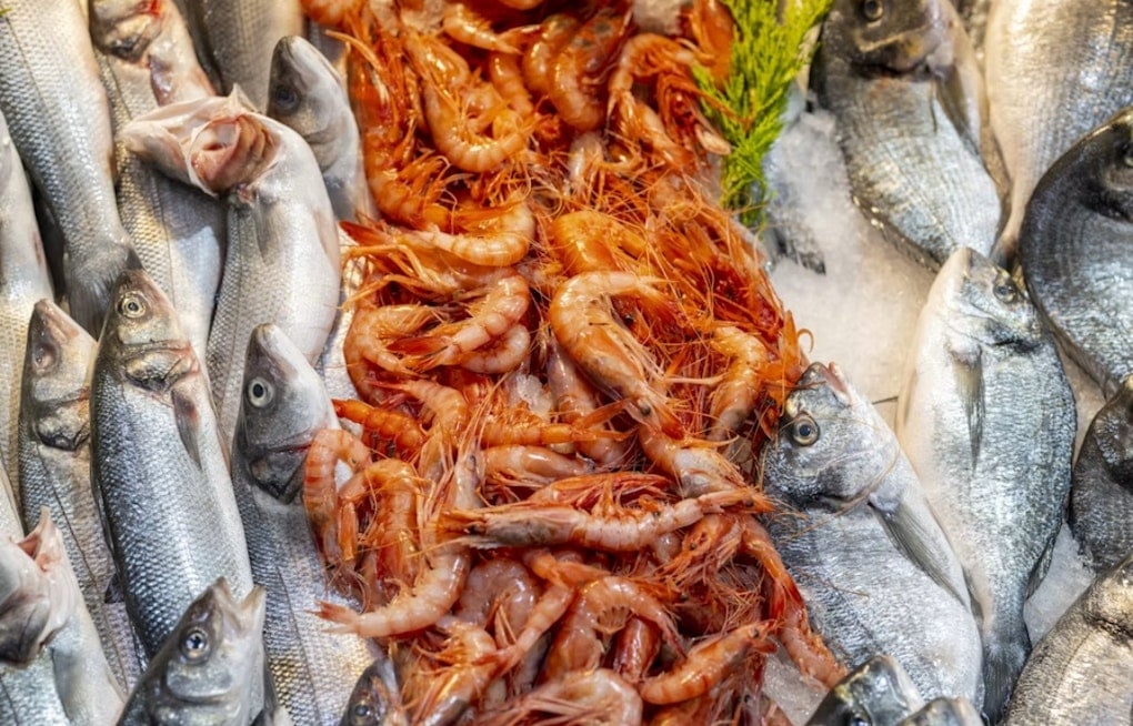 Urbana's Fish & Shrimp Festival Returns With Sturgeon Petting Zoo, 12 Bands