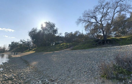 Vandals Trash Carmichael's Ancil Hoffman Park, Toppling 10 Light Poles
