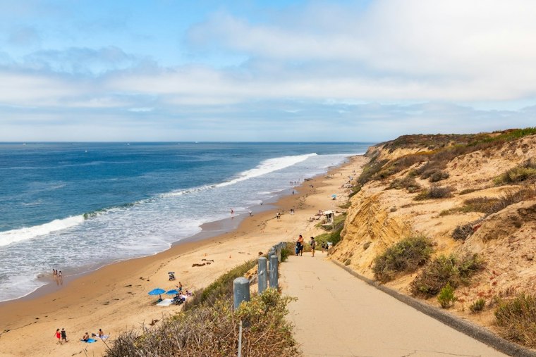 Venomous Sea Snake Washes Ashore at Crystal Cove; Rattlesnake Also Spotted
