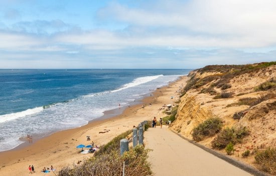 Venomous Sea Snake Washes Ashore at Crystal Cove; Rattlesnake Also Spotted