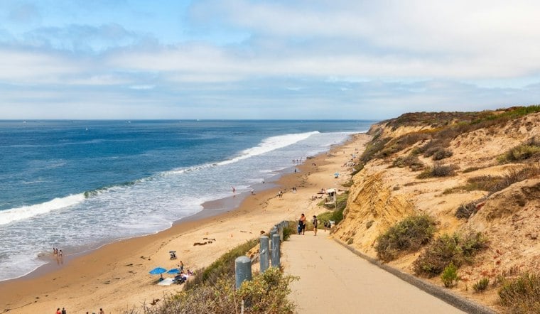Venomous Sea Snake Washes Ashore at Crystal Cove; Rattlesnake Also Spotted