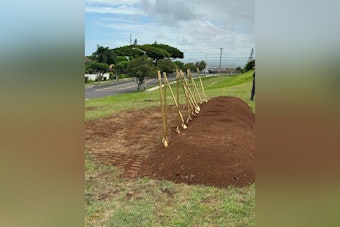 Wailuku Breaks Ground on 35 Affordable Apartments as Maui's Rental Gap Tops 2,200 Units