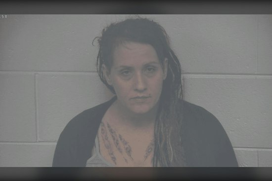 Warsaw Woman Gets 14 Years for Stabbing Man Multiple Times in 3rd Street Apartment