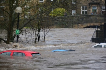 Washington Declares Emergency as Flash Floods Strand Family, Swamp Houston Street
