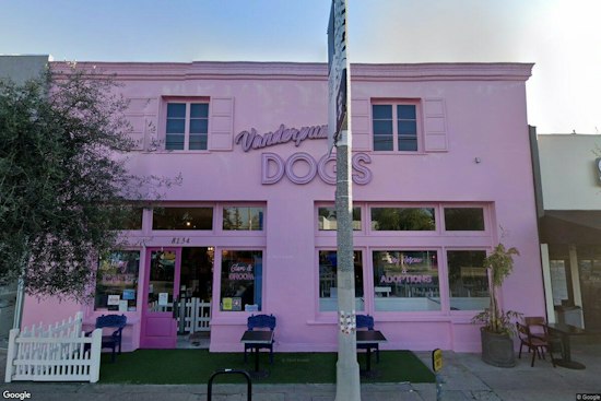 West Hollywood Park Set for World Dog Day as Vanderpump Fights Global Meat Trade