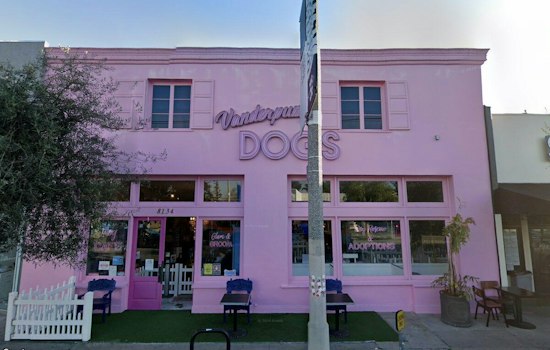 West Hollywood Park Set for World Dog Day as Vanderpump Fights Global Meat Trade
