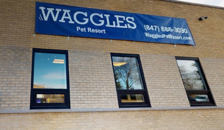 Wheeling Dog Daycare Van Death Leaves Owner Demanding Answers Over Miller