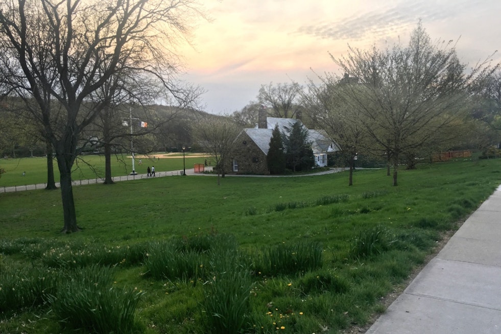 Whistleblower Says Stone House Restaurant Leaked Sewage Into Clove Lake for Years