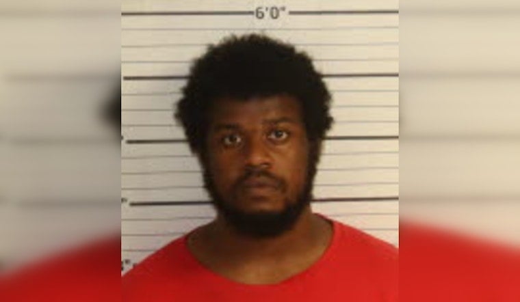 Whitehaven Man, 27, Charged After Beating Mother With Bat Over Dinner Fight