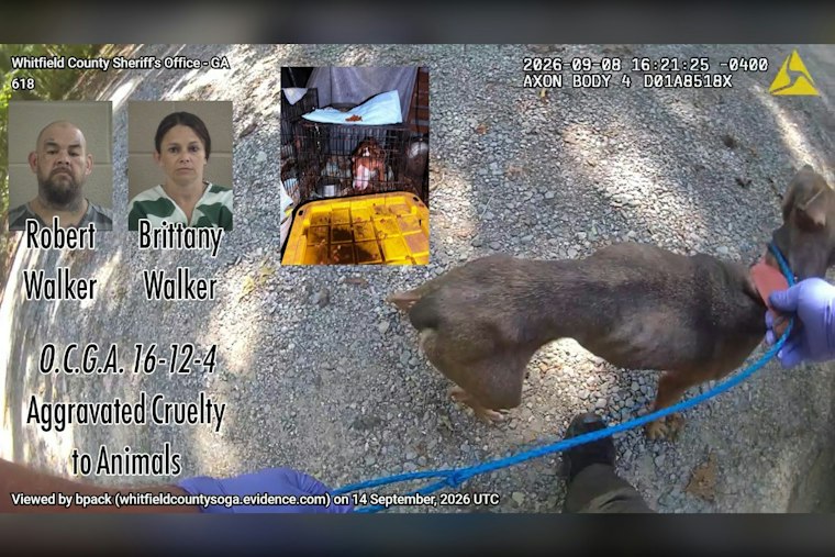 Whitfield County Couple Charged After Starving Dogs Found, Some Dead