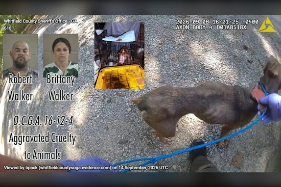 Whitfield County Couple Charged After Starving Dogs Found, Some Dead