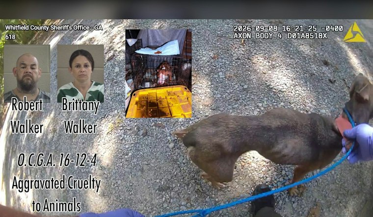 Whitfield County Couple Charged After Starving Dogs Found, Some Dead