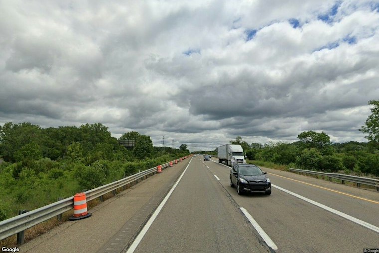 Why 80 Bison Graze Beside U.S. 23 Near Ann Arbor, and Who Keeps Them Show-Ready