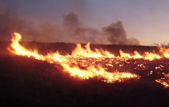 Wildfire East of Rocky Torches Home, Woman Escapes Just in Time