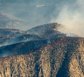 Williams Fire Ignites in Yolo County, Cause Still Unknown