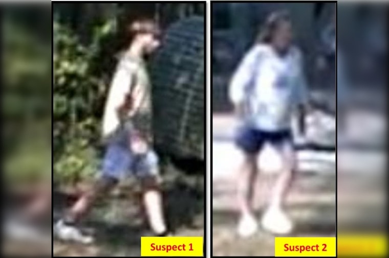 Wimberley Duo Hand-Lifts Trailer in Broad Daylight, Sheriff Seeks Tips