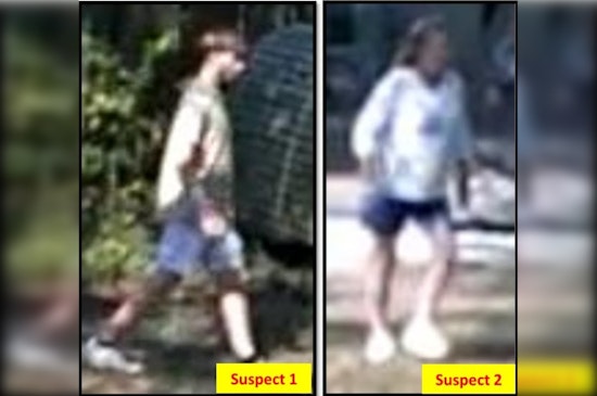 Wimberley Duo Hand-Lifts Trailer in Broad Daylight, Sheriff Seeks Tips