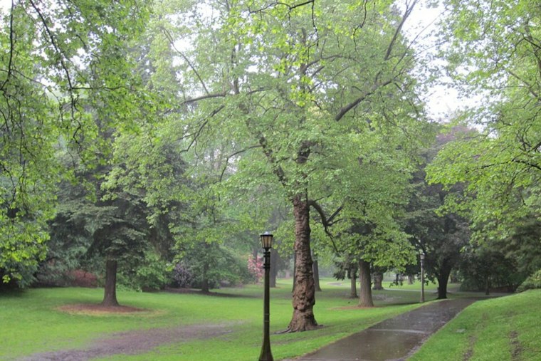 Portland Weather: Friday Forecast and Weekend Outlook