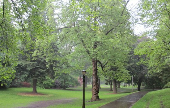 Portland Weather: Friday Forecast and Weekend Outlook