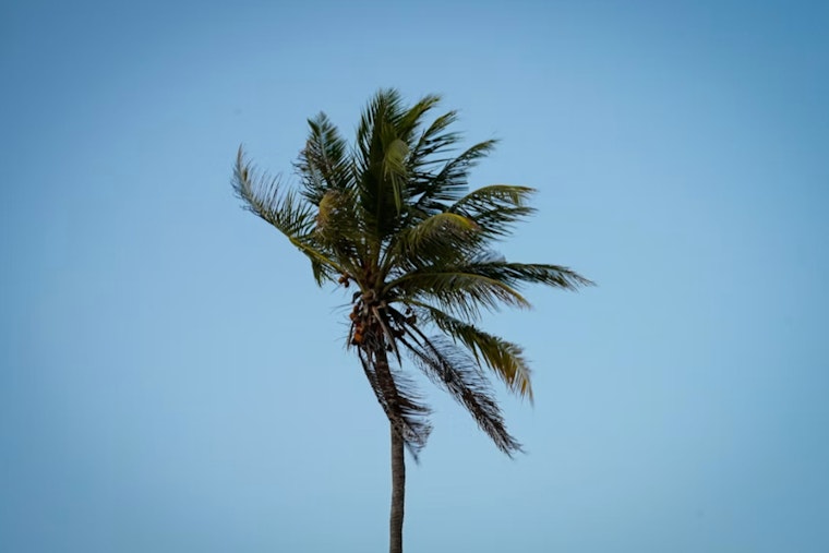 Windy Reprieve: Las Vegas Cools Slightly Before Labor Day Storm Threat