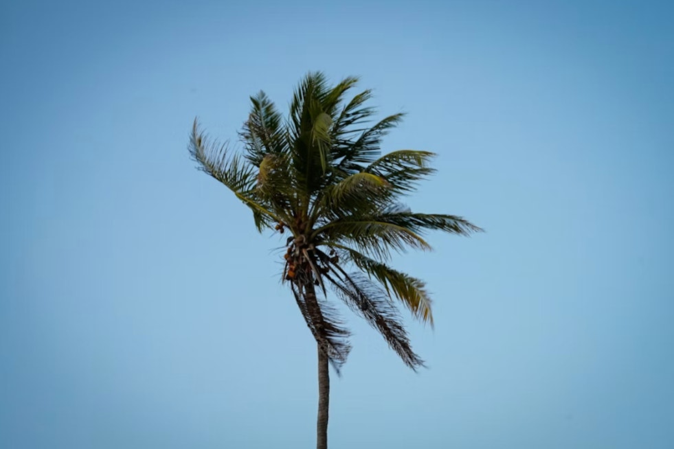 Windy Reprieve: Las Vegas Cools Slightly Before Labor Day Storm Threat