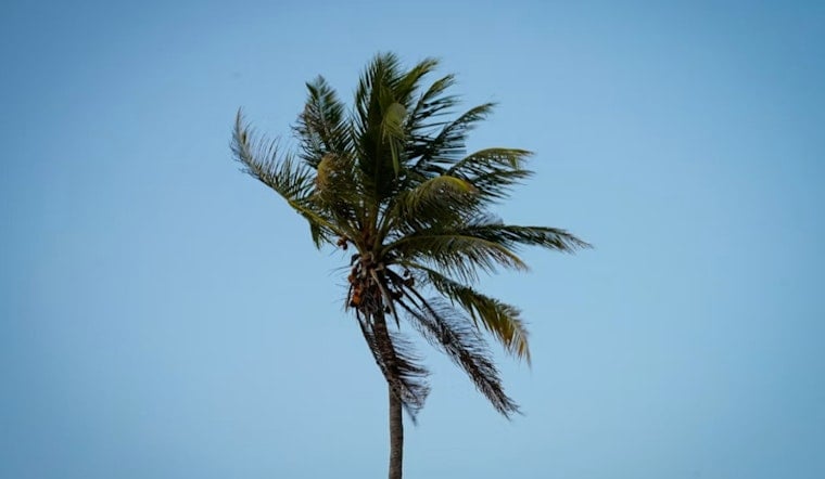 Windy Reprieve: Las Vegas Cools Slightly Before Labor Day Storm Threat